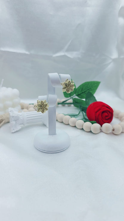Argollas Earrings