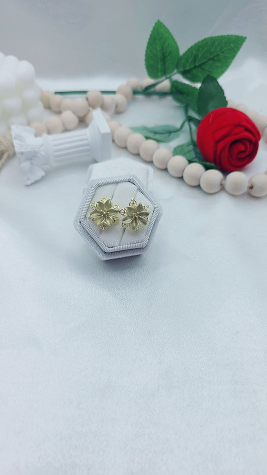 Argollas Earrings
