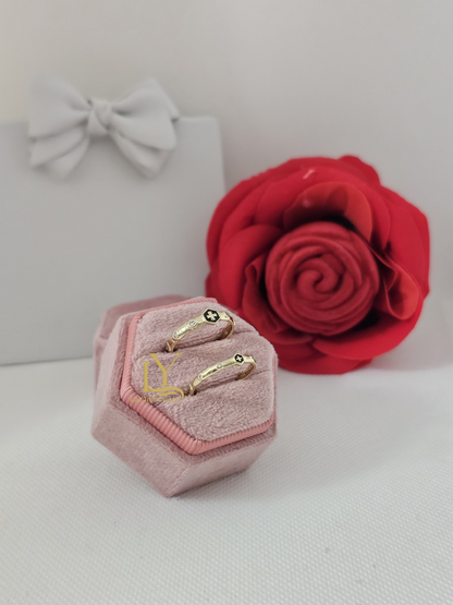 Anillo