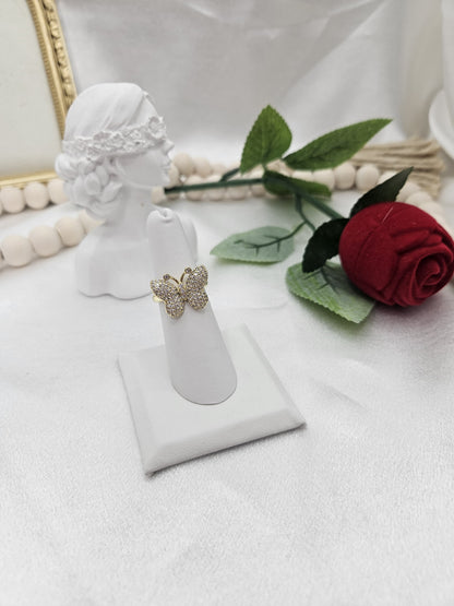 Anillo