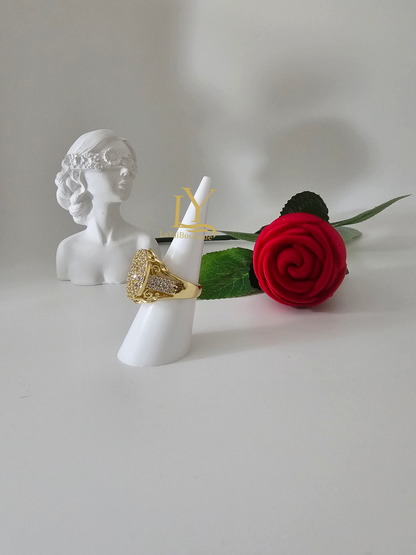Anillo