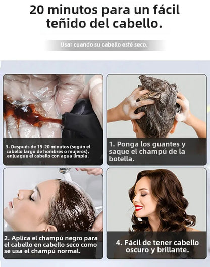 Shampú Tinte 3 en 1 para el Cabello